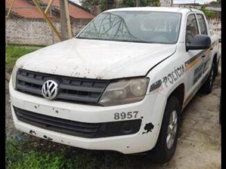 volkswagen-amarok-leilão-descomplicado-oportunidade-investimento-veículos-seger