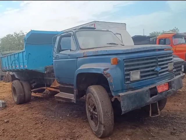 caminhao-chevrolet-leilao-veiculos-oportunidade-investir-renda-extra
